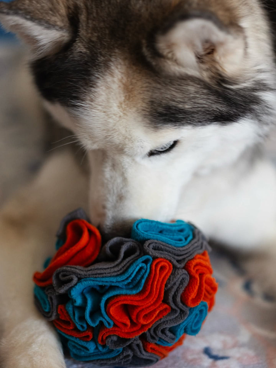 Forage Ball – Muttley & Me