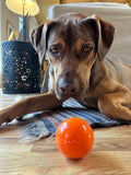 Soda Pup Squeak Ball