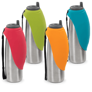 Double wall travel water bottle