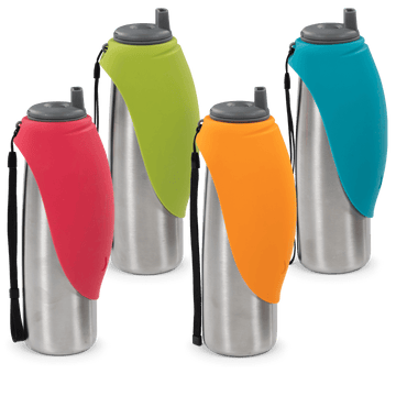 Double wall travel water bottle