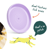 Fly N' Feed