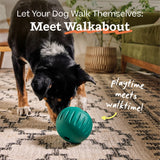 Walkabout