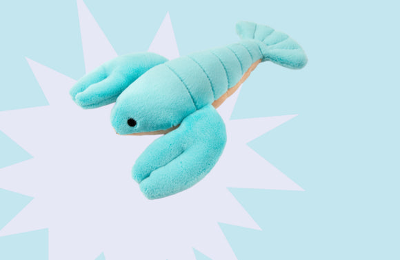 Rachel Mini Lobster