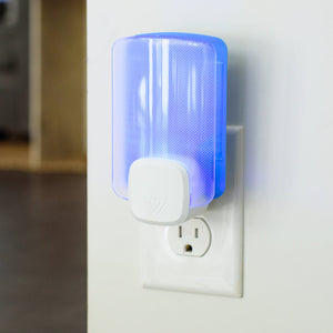 Flying Insect Trap