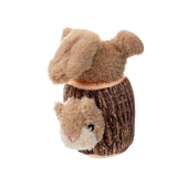 Animated Squirrel