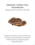 Turkey Tail Health Supplement