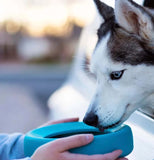Silicone non-spill travel bowl
