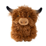 Highlander Cow