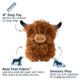 Highlander Cow