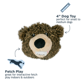 Grizzly Bear Head