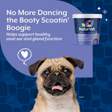 No Scoot Plus Pumpkin soft chew