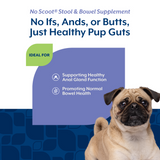 No Scoot Plus Pumpkin soft chew