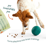 Puzzle Treats