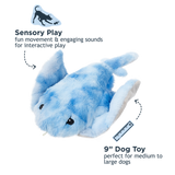 Manta Ray