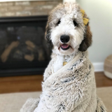Waterproof Blanket