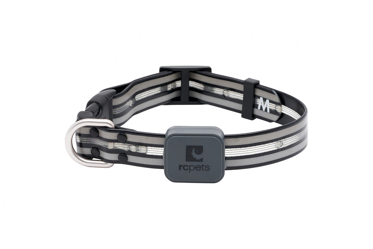 Nova LED Light Collar – Muttley & Me
