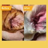 Silver Honey Ear Care Treatment