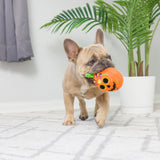 Tiny Tuff Pumpkin Treats