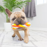 Tiny Tuff Pumpkin Treats