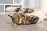 Turkey Tendons Pack