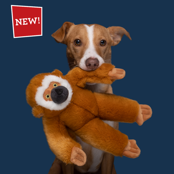Marcel Monkey Dog Toy