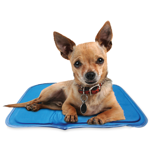 Chillz cooling pet pad discount