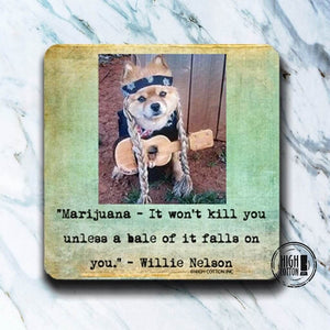 Willie Dog Coaster