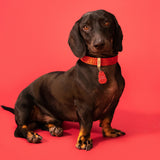 Red Kong ID Tag
