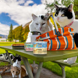 Gold Indoor Cat Can Food