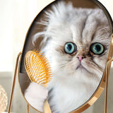 Gold Indoor Cat