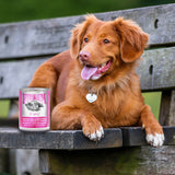 Chicken & Salmon Pate Puppy