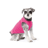 Gold Paw Solid Fleece