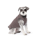 Gold Paw Solid Fleece