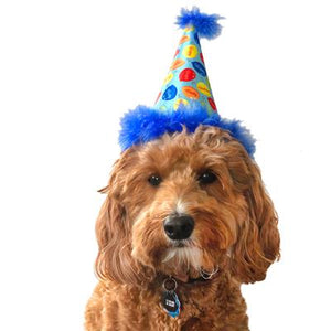 Party Time Hat Blue