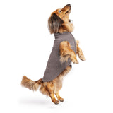Gold Paw Solid Fleece