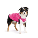 Gold Paw Solid Fleece