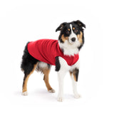 Gold Paw Solid Fleece