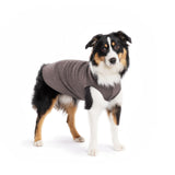 Gold Paw Solid Fleece