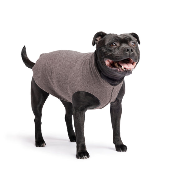Gold Paw Solid Fleece