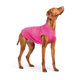 Gold Paw Solid Fleece