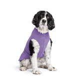 Gold Paw Solid Fleece