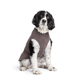 Gold Paw Solid Fleece