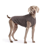Gold Paw Solid Fleece