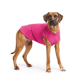 Gold Paw Solid Fleece