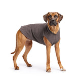 Gold Paw Solid Fleece
