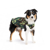 Gold Paw Solid Fleece