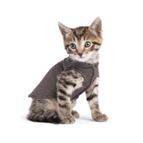 Gold Paw Solid Fleece