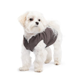 Gold Paw Solid Fleece