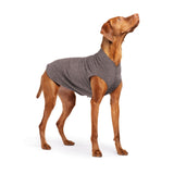 Gold Paw Solid Fleece