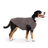Gold Paw Solid Fleece